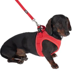 TIAKI hundesnor Mesh, rød