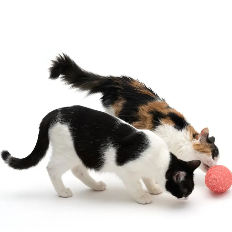 TIAKI Ice Cream kattelegetøj