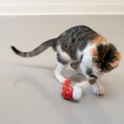 TIAKI Julesokker med katteurt