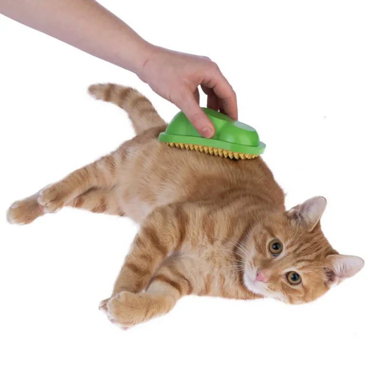 TIAKI kattemassagekaktus