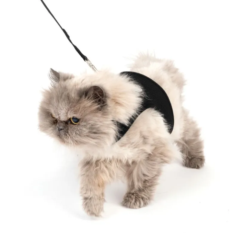 TIAKI kattesele Comfy med snor
