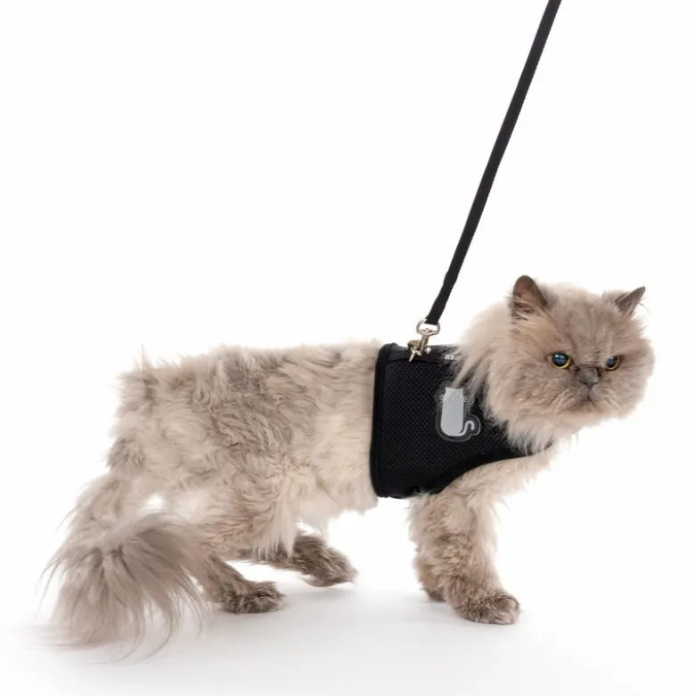 TIAKI kattesele Comfy med snor