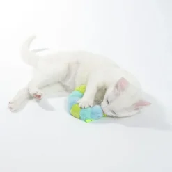TIAKI larve med katteurt