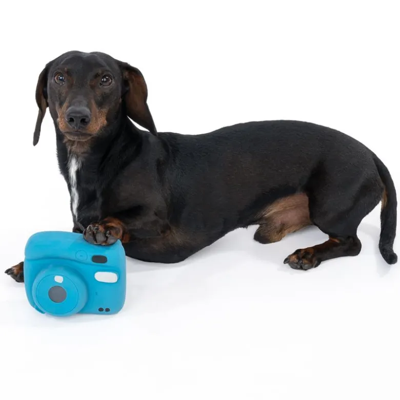 TIAKI latex polaroidkamera hundelegetøj