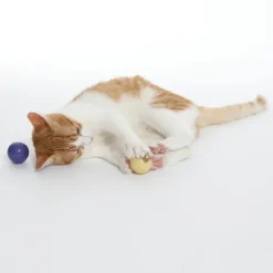 TIAKI LED-bolde til katte