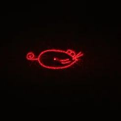 TIAKI LED Pointer Lightbusters