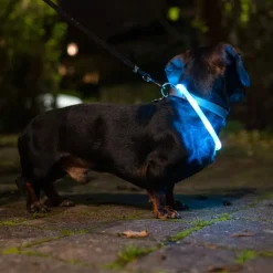 TIAKI Lille USB LED-halsbånd af silikone