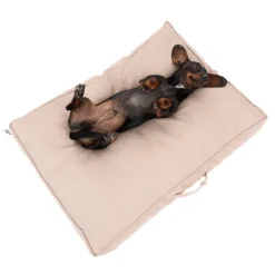 TIAKI Memory Foam, beige