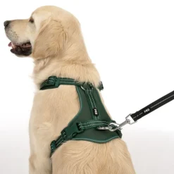 TIAKI Neoprene Sele, grøn