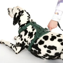 TIAKI Neoprene Sele, grøn
