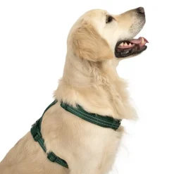 TIAKI Neoprene Sele, grøn