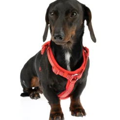 TIAKI Neoprene Sele, rød