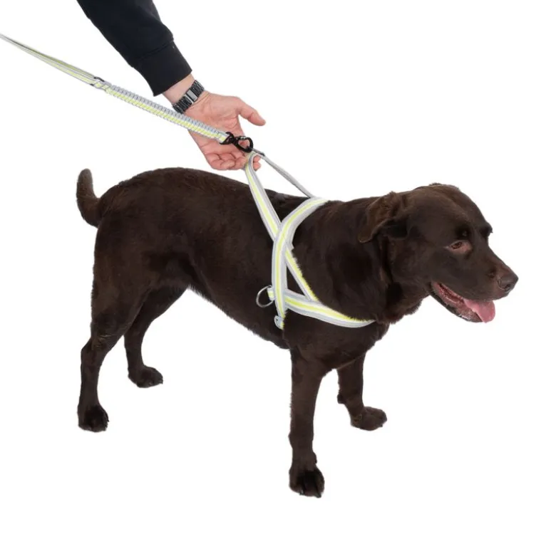 TIAKI No-pull sele