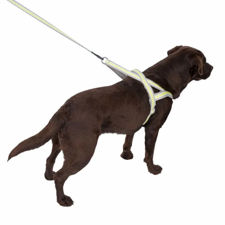 TIAKI No-pull sele