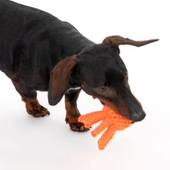 TIAKI Oktopus Hundelegetøj