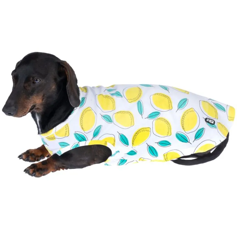 TIAKI Pet & Parent matchende pyjamas, citron