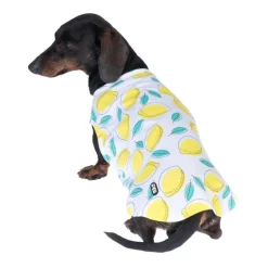TIAKI Pet & Parent matchende pyjamas, citron