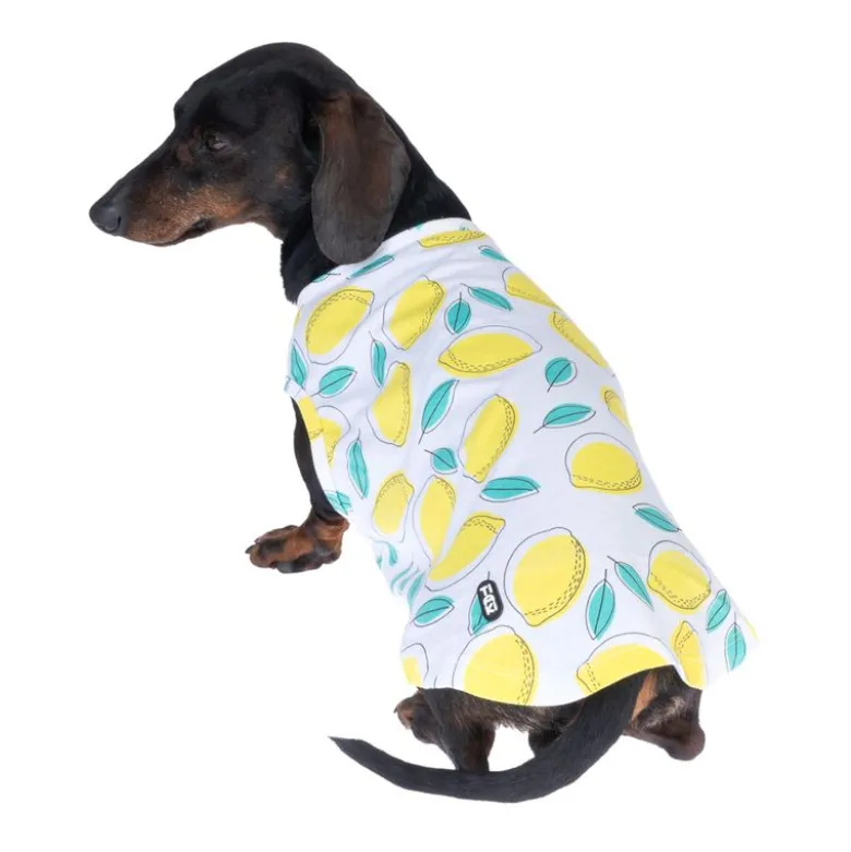 TIAKI Pet & Parent matchende pyjamas, citron