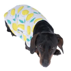 TIAKI Pet & Parent matchende pyjamas, citron