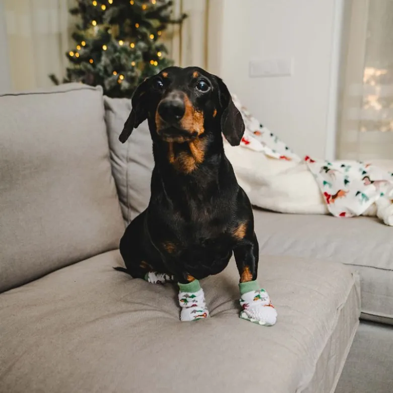 TIAKI Pet & Parent vintersokker