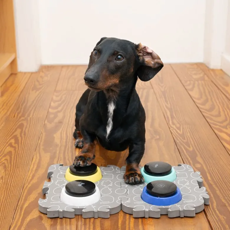 TIAKI Pet Talende knapper "Let's Talk!"