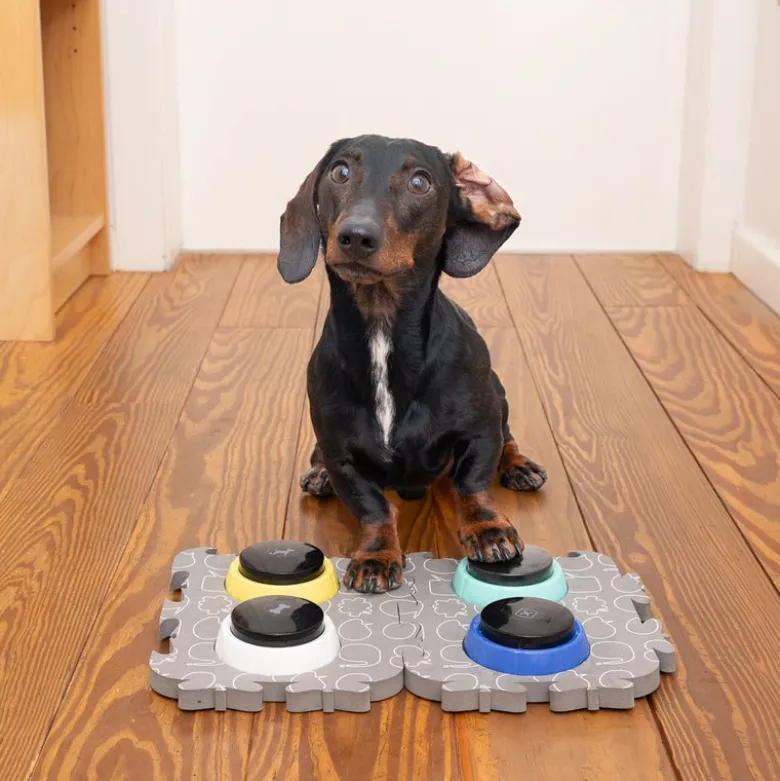 TIAKI Pet Talende knapper "Let's Talk!"