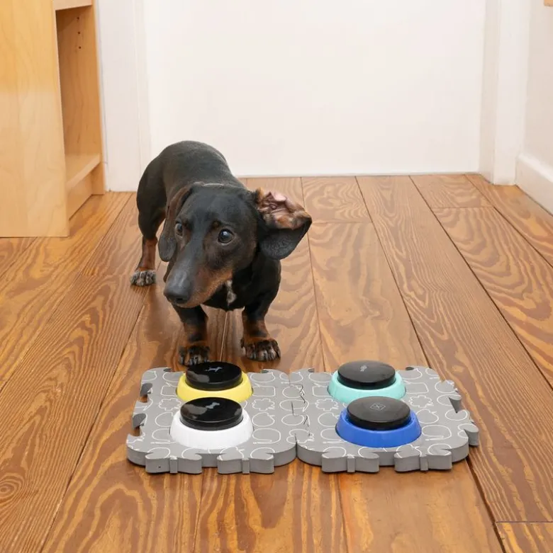 TIAKI Pet Talende knapper "Let's Talk!"