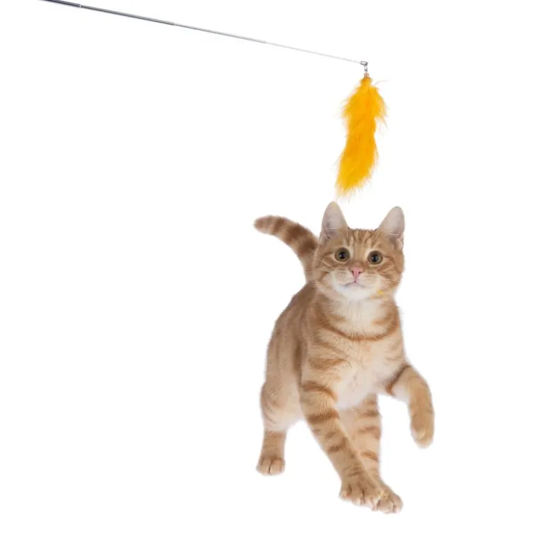 TIAKI Pompom Drillepind med LED-pointer