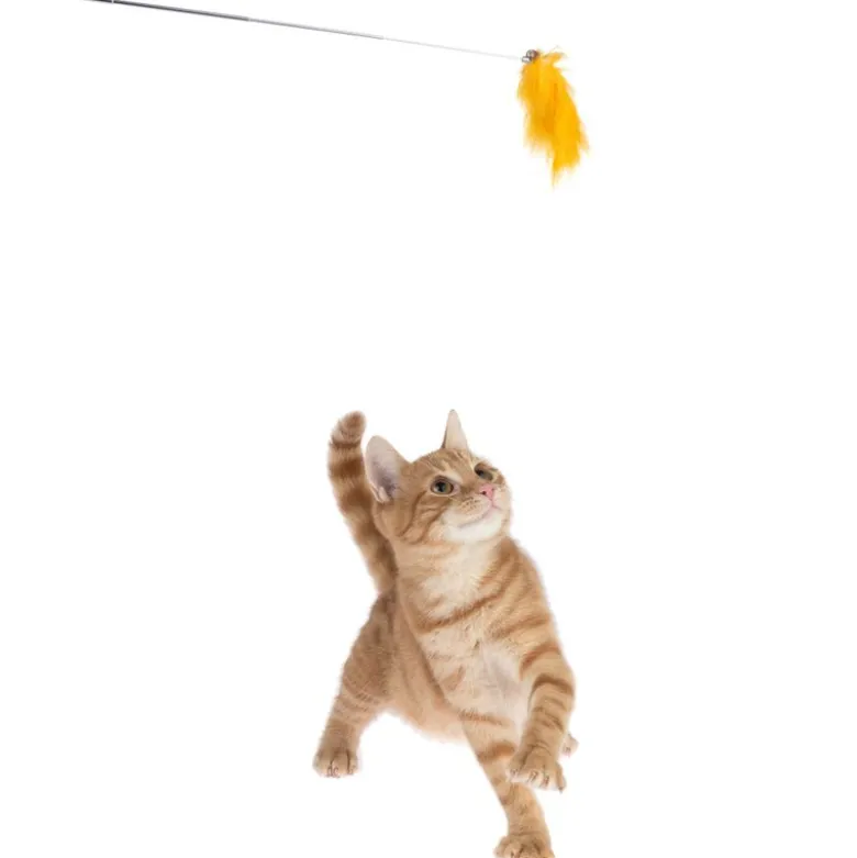 TIAKI Pompom Drillepind med LED-pointer