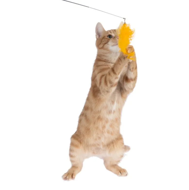 TIAKI Pompom Drillepind med LED-pointer