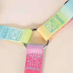 TIAKI porcelæn Rainbow