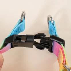 TIAKI porcelæn Rainbow
