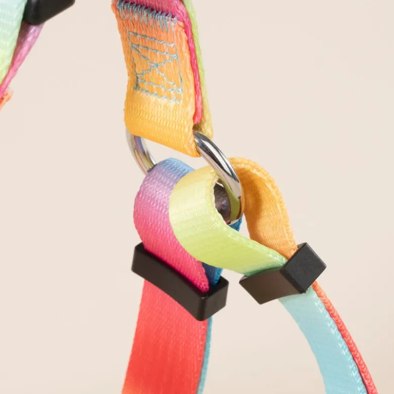 TIAKI porcelæn Rainbow