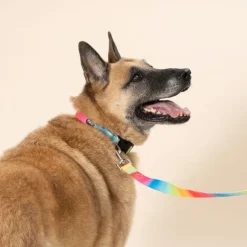 TIAKI Rainbow hundesnor