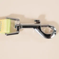 TIAKI Rainbow hundesnor