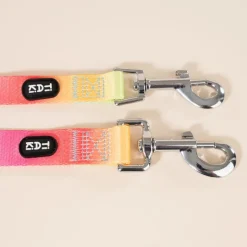 TIAKI Rainbow hundesnor
