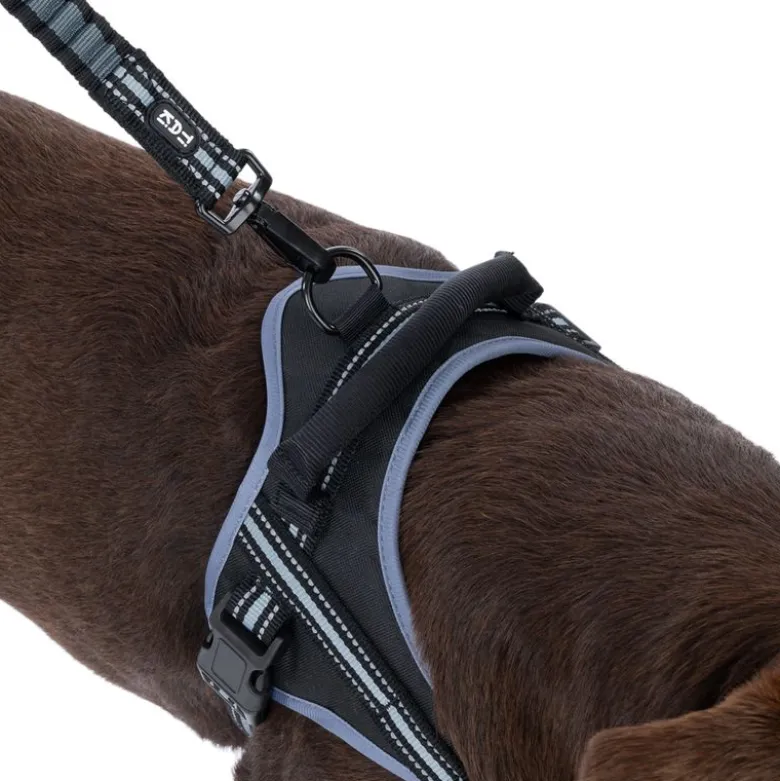 TIAKI Sadelsele til hunde