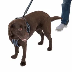 TIAKI Sadelsele til hunde