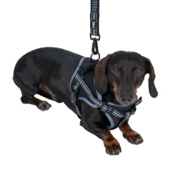 TIAKI Sadelsele til hunde