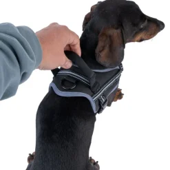 TIAKI Sadelsele til hunde