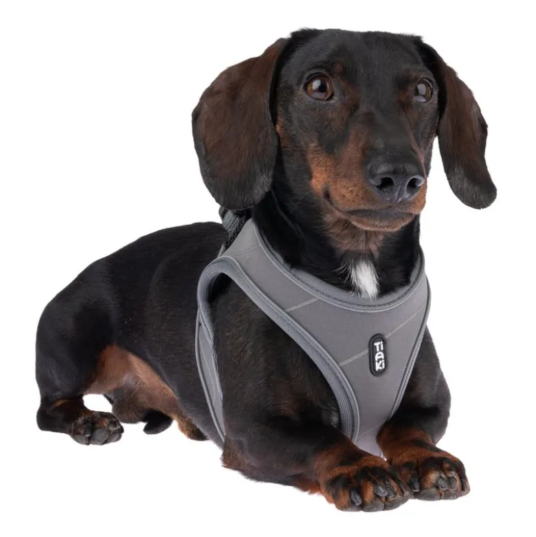 TIAKI sele Wave Vest, antracit