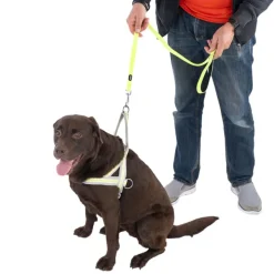 TIAKI selvlysende hundesnor