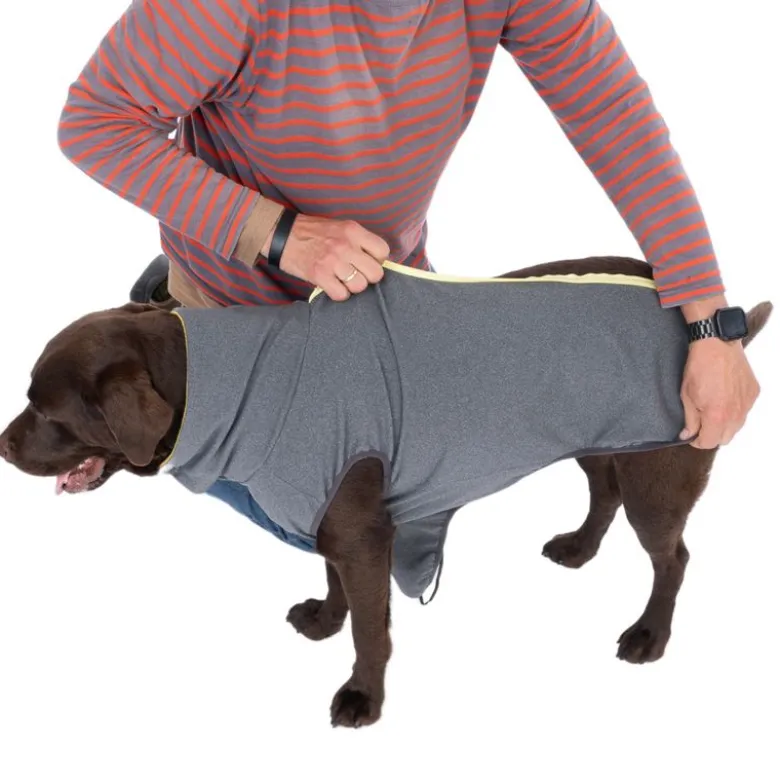 TIAKI Shadow hundesweater