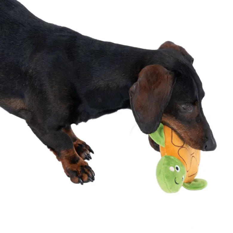 TIAKI Silent Squeaky Turtle
