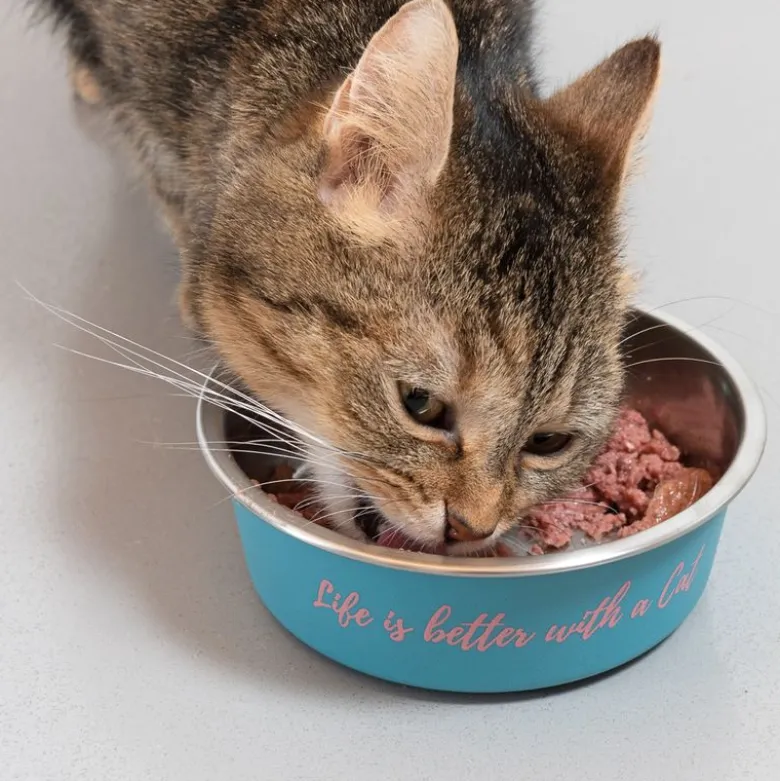 TIAKI skål i rustfrit stål "Better With A Cat"