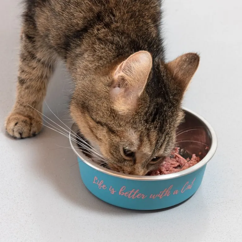 TIAKI skål i rustfrit stål "Better With A Cat"