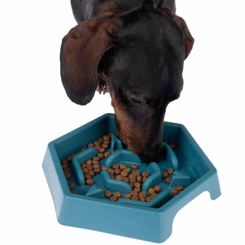 TIAKI Slow Feeder Blue Hexagon