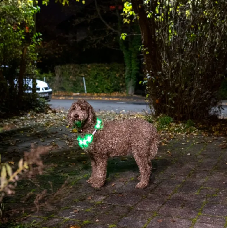 TIAKI Spark USB LED-silikonering