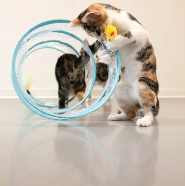 TIAKI spiraltunnel til katte