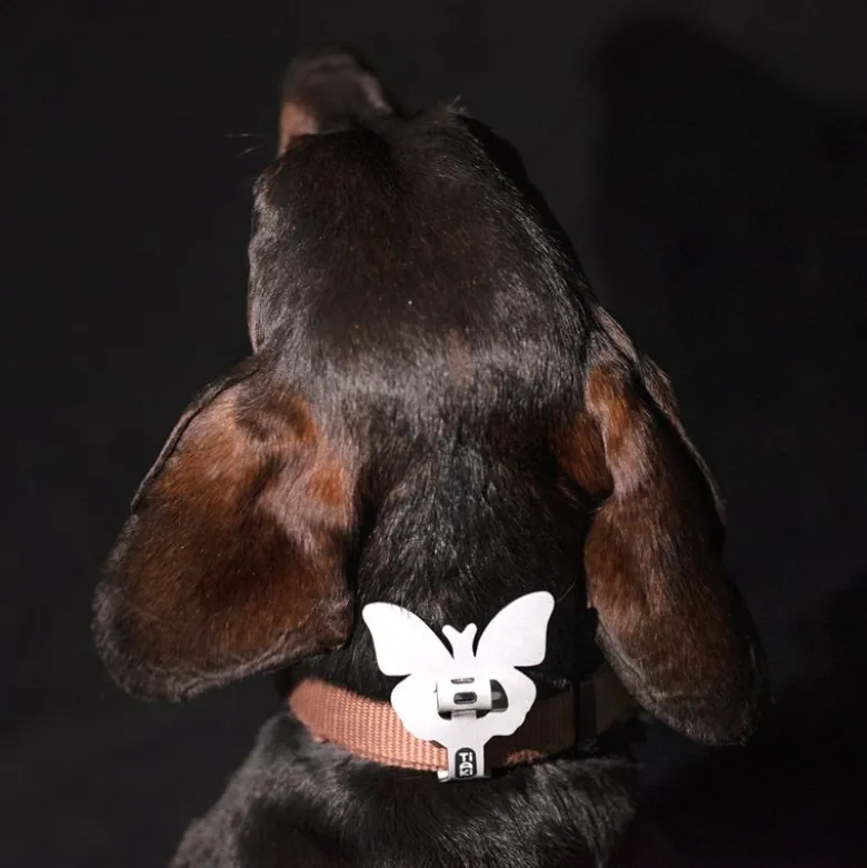 TIAKI sæt med refleksfigurer